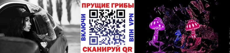 площадка телеграм цены наркотик Заволжск Псилоцибиновые грибы мицелий ОМГ ОМГ ТОР